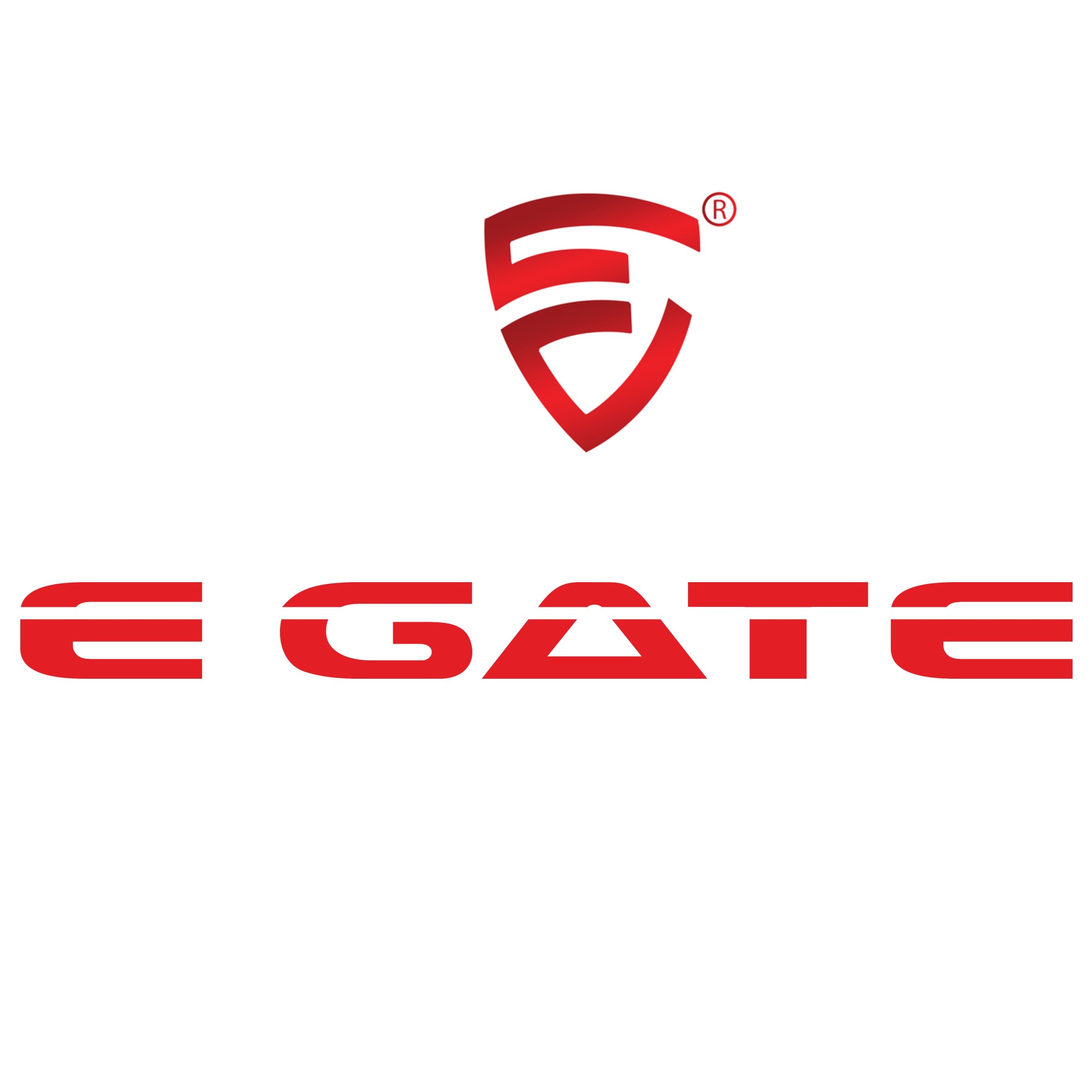 EGATE Projectors and Speakers – Egate World