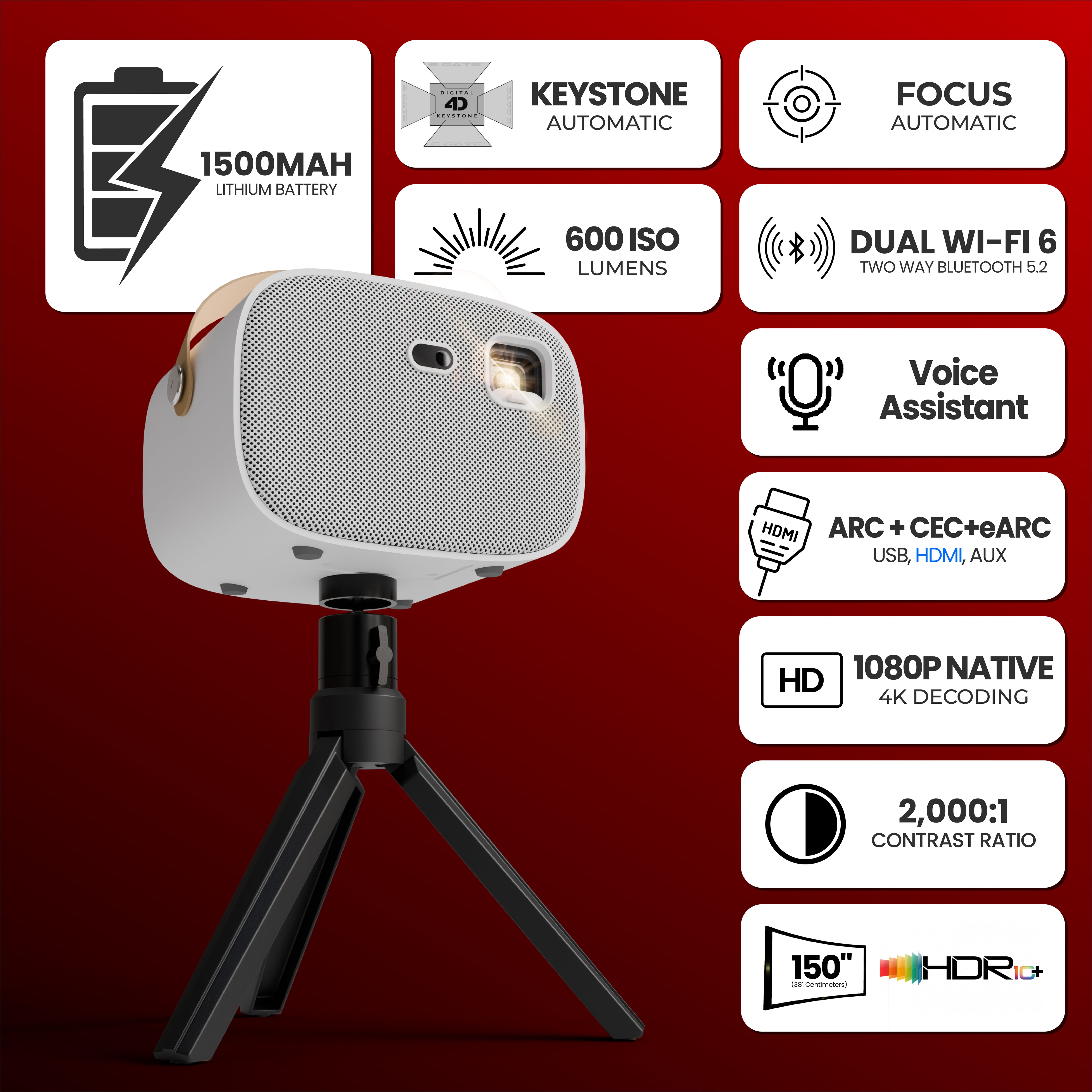Zen DLP 6X