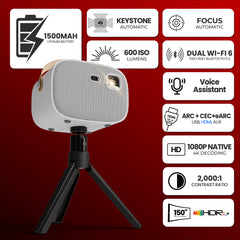 Zen DLP 6X